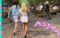 Virtual 4k Walk | Aspen Colorado | Summer 2020