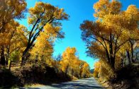 Spectacular-Fall-Season-Drive-Near-Aspen-Colorado